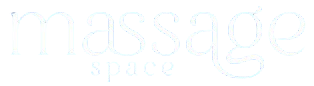 message space logo